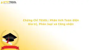 Chứng Chỉ TESOL: Phân Tích Toàn Diện Giá Trị, Phân Loại Và Công Nhận