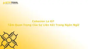 Cohesion Là Gì? Tầm Quan Trọng Của Sự Liên Kết Trong Ngôn Ngữ