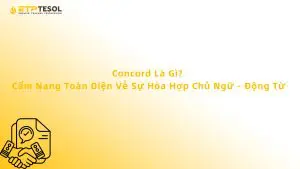 Concord Là Gì? Cẩm Nang Toàn Diện Về Sự Hòa Hợp Chủ Ngữ - Động Từ