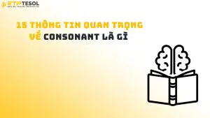 15 Thông Tin Quan Trọng Về Consonant Là Gì