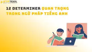 12 Determiner Quan Trọng Trong Ngữ Pháp Tiếng Anh