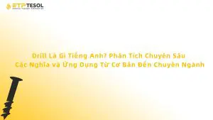 Drill Là Gì Tiếng Anh? Phân Tích Chuyên Sâu Các Nghĩa và Ứng Dụng Từ Cơ Bản Đến Chuyên Ngành