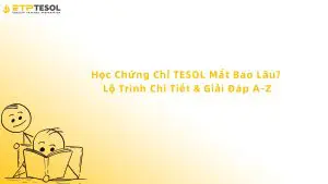 Học Chứng Chỉ TESOL Mất Bao Lâu? Lộ Trình Chi Tiết & Giải Đáp A-Z