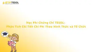 Học Phí Chứng Chỉ TESOL: Phân Tích Chi Tiết Chi Phí Theo Hình Thức và Tổ Chức