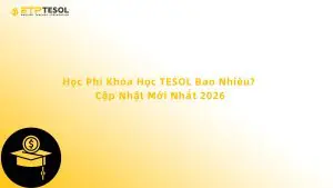 Học Phí Khóa Học TESOL Bao Nhiêu? Cập Nhật Mới Nhất 2026