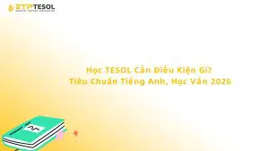 Học TESOL Cần Điều Kiện Gì? Tiêu Chuẩn Tiếng Anh, Học Vấn 2026
