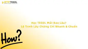 Học TESOL Mất Bao Lâu? Lộ Trình Lấy Chứng Chỉ Nhanh & Chuẩn