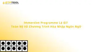 Immersion Programme Là Gì? Toàn Bộ Về Chương Trình Hòa Nhập Ngôn Ngữ
