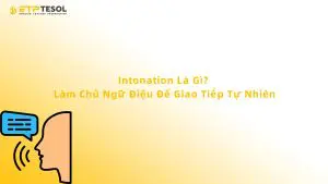 Intonation Là Gì? Làm Chủ Ngữ Điệu Để Giao Tiếp Tự Nhiên