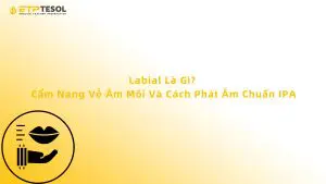 Labial Là Gì? Cẩm Nang Về Âm Môi Và Cách Phát Âm Chuẩn IPA