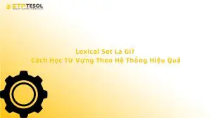 Lexical Set Là Gì? Cách Học Từ Vựng Theo Hệ Thống Hiệu Quả