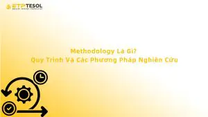 Methodology Là Gì? Quy Trình Và Các Phương Pháp Nghiên Cứu