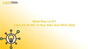 Mind Map Là Gì? Cách Vẽ Sơ Đồ Tư Duy Hiệu Quả Nhất 2026