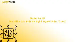 Model Là Gì? Mọi Điều Cần Biết Về Nghề Người Mẫu Từ A-Z