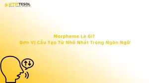 Morpheme là gì? Khám phá cấu trúc nhỏ nhất tạo nên sức mạnh của ngôn ngữ