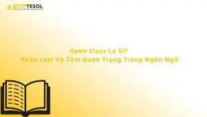 Open Class Là Gì? Phân Loại Và Tầm Quan Trọng Trong Ngôn Ngữ