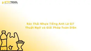 Rác Thải Nhựa Tiếng Anh Là Gì? Thuật Ngữ và Giải Pháp Toàn Diện