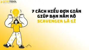 7 cách hiểu đơn giản giúp bạn nắm rõ Scavenger là gì
