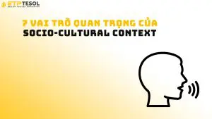 7 Vai Trò Quan Trọng Của Socio-Cultural Context