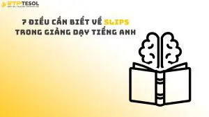 7 Điều Cần Biết Về Slips Trong Giảng Dạy Tiếng Anh