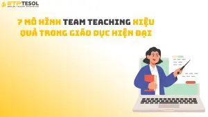 7 Mô Hình Team Teaching Hiệu Quả Trong Giáo Dục Hiện Đại