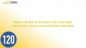 TESOL 120 Giờ Là Gì? Phân Tích Toàn Diện Tiêu Chuẩn Vàng Trong Giảng Dạy Anh Ngữ