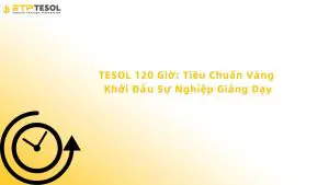 TESOL 120 Giờ: Tiêu Chuẩn Vàng Khởi Đầu Sự Nghiệp Giảng Dạy