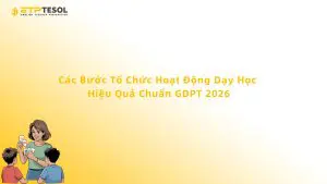 Các Bước Tổ Chức Hoạt Động Dạy Học Hiệu Quả Chuẩn GDPT 2026