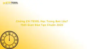 Chứng Chỉ TESOL Học Trong Bao Lâu? Thời Gian Đào Tạo Chuẩn 2026