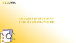 Học TESOL Cần Điều Kiện Gì? 5 Yêu Cầu Bắt Buộc Phải Biết