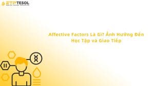 Affective Factors