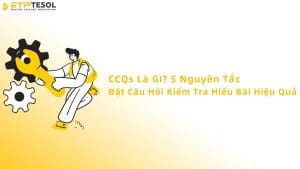 CCQs là gì