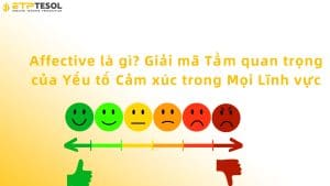 Affective là gì