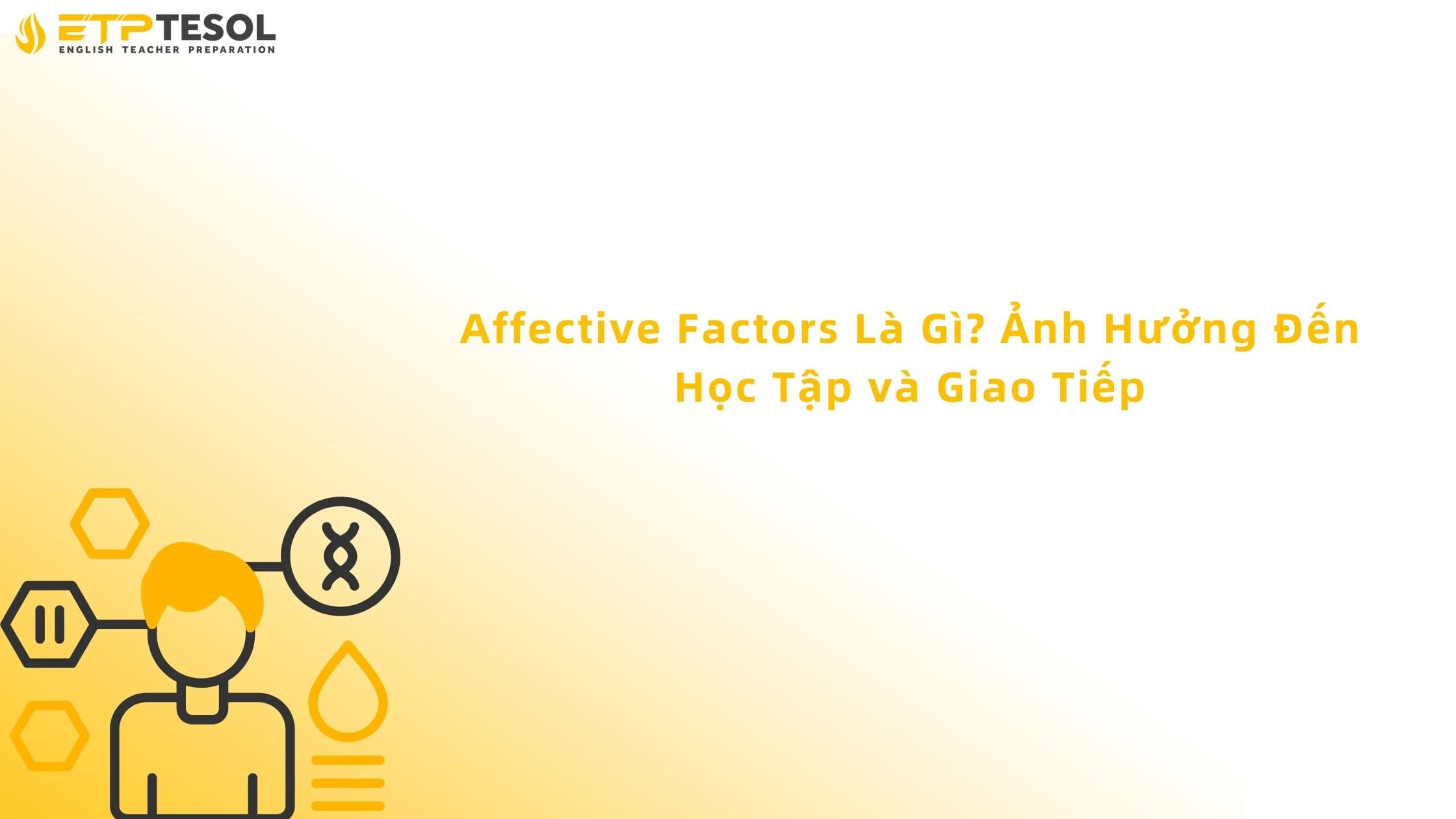 Affective Factors