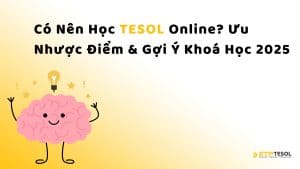 Có Nên Học TESOL Online? Ưu Nhược Điểm & Gợi Ý Khoá Học 2025