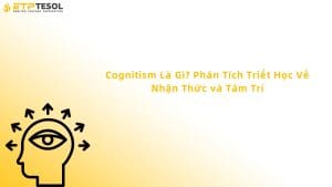 Cognitism