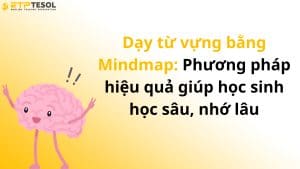 Dạy từ vựng bằng Mindmap: Phương pháp hiệu quả giúp học sinh học sâu, nhớ lâu