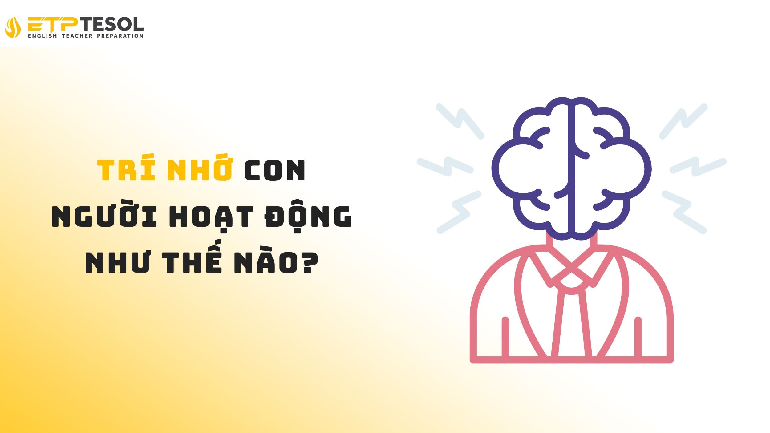 Cách trí nhớ con người hoạt động