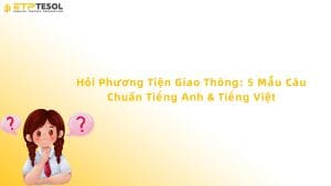 hỏi phương tiện