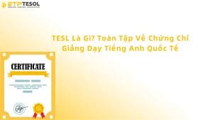 tesl là gì