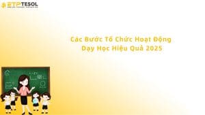các bước tổ chức hoạt động dạy học