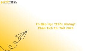 có nên học tesol không