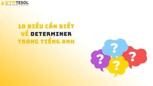 10 điều cần biết về Determiner trong tiếng Anh