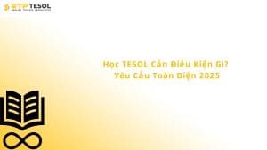 học tesol cần điều kiện gì