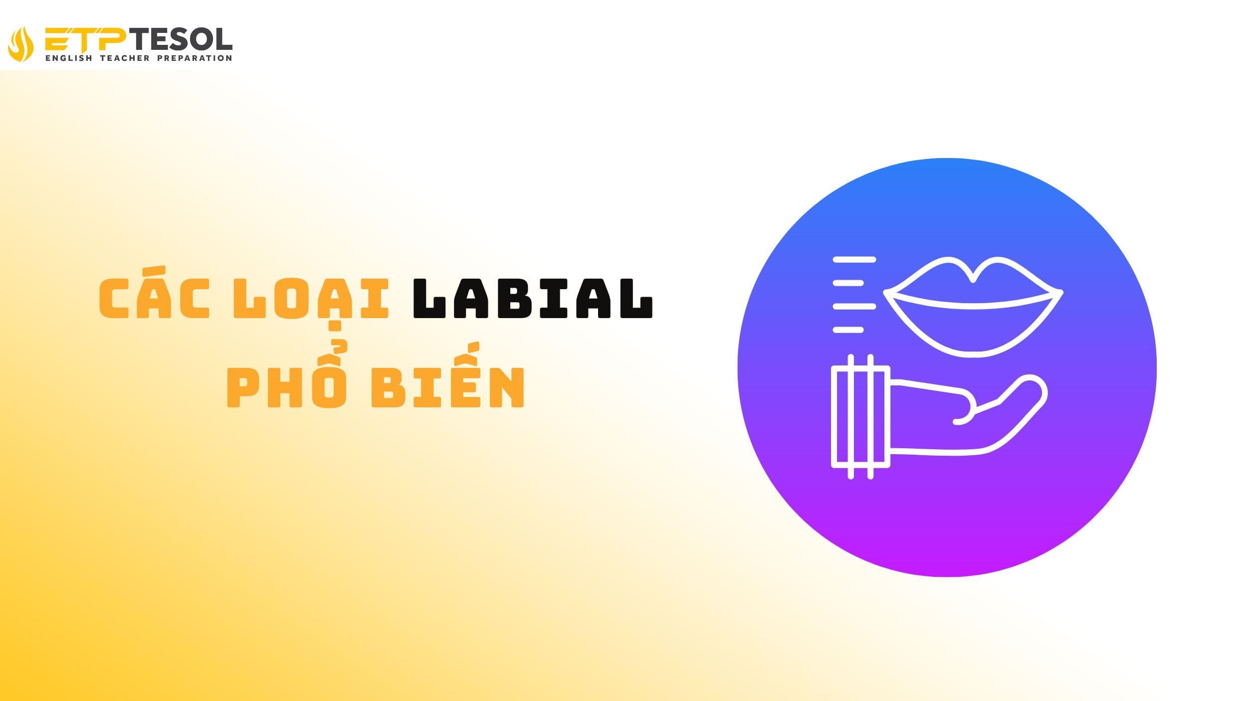 Tìm hiểu các loại Labial phổ biến