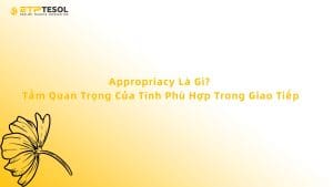 Appropriacy Là Gì? Tầm Quan Trọng Của Tính Phù Hợp Trong Giao Tiếp