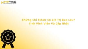 Chứng Chỉ TESOL Có Giá Trị Bao Lâu? Tính Vĩnh Viễn Và Cập Nhật