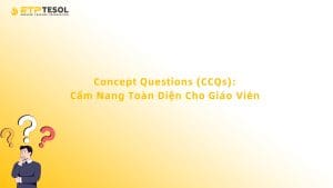 Concept Questions