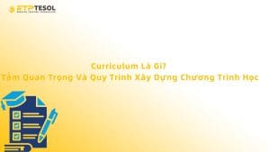 Curriculum