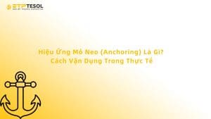 Hiệu Ứng Mỏ Neo (Anchoring) Là Gì? Cách Vận Dụng Trong Thực Tế